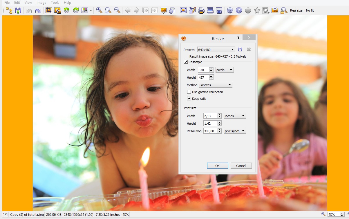 Result of image resize